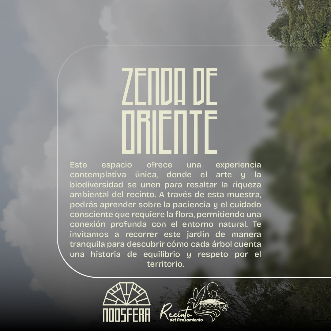 Post redes 3